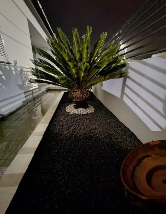 Vila Da Pesca House Rabo de Peixe Exterior foto